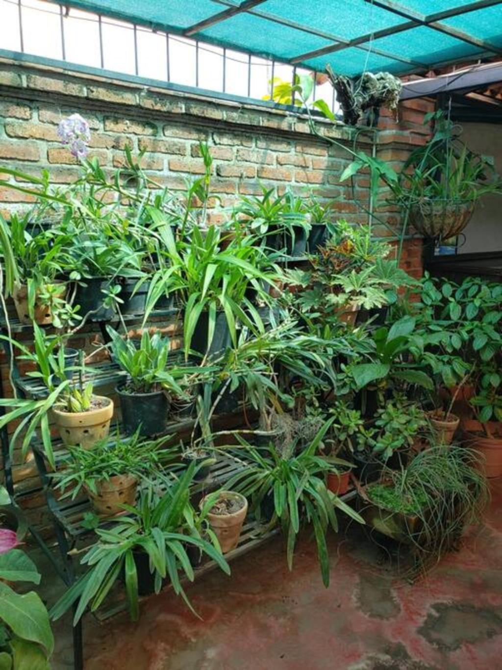 Enjoy Ac In The Penthouse At Inn Ajijic Buitenkant foto