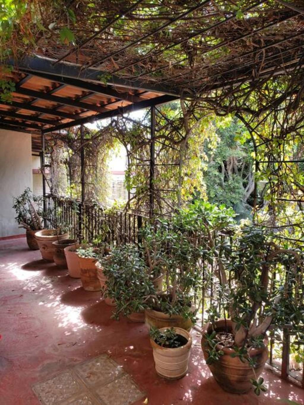 Enjoy Ac In The Penthouse At Inn Ajijic Buitenkant foto